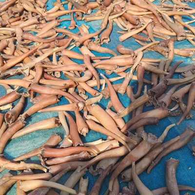 海竹干、海次干與海味干貨批發(fā)市場概述