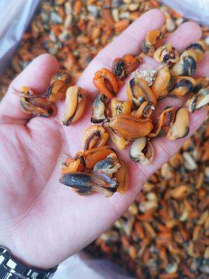 廣東廣州荔灣區貽貝批發 優質淡菜干，25.00元/斤實惠海味